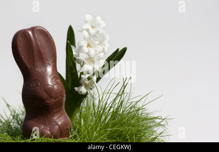 Happy Easter Chocolate Bunny im Korb Bilder Bilder Fotos Fotos Nahaufnahme große hohe Auflösung in den USA USA horizontale Hi-res Stockfoto