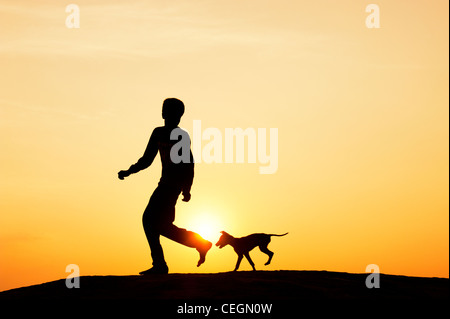 Silhouette des jungen laufen und spielen mit seinen Welpen. Indien Stockfoto