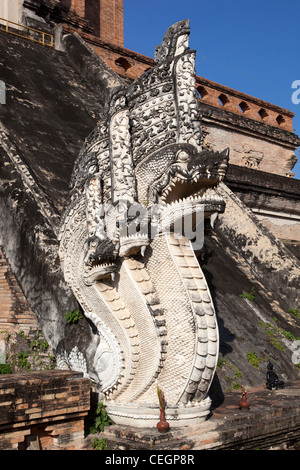 Wat Chedi Luang Tempel Chiang Mai Stockfoto