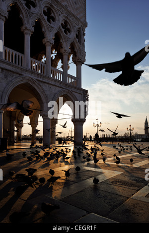 Sonnenaufgang am Piazza San Marco, Venedig, Italien. Tauben fliegen in der Nähe der Dogenpalast. Stockfoto