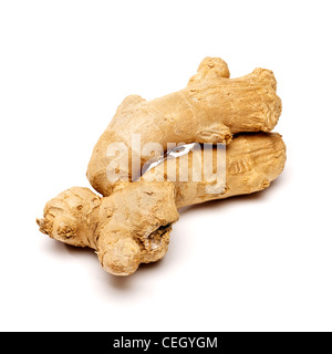 Ingwerwurzel auf weißem Hintergrund Stockfoto