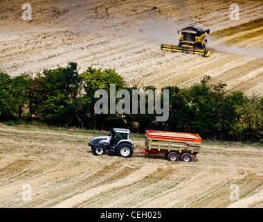 Transport von Gerste zurück zum Trockner, Korn mit kombinieren, die im Hintergrund arbeiten Stockfoto