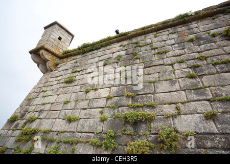 Castelo Queijo - Porto District, Norte Region, Porto, Portugal Stockfoto