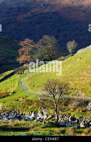 Wanderweg herab, von Haywater in Richtung Hartsop Dorf, Januar, Patterdale Bereich, Nationalpark Lake District, North East La Stockfoto