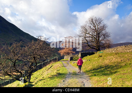 Wanderweg herab, von Haywater in Richtung Hartsop Dorf, Januar, Patterdale Bereich, Nationalpark Lake District, Stockfoto