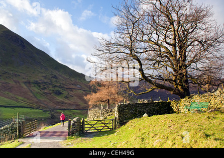 Wanderweg herab, von Haywater in Richtung Hartsop Dorf, Januar, Patterdale Bereich, Nationalpark Lake District, Cumbria Stockfoto