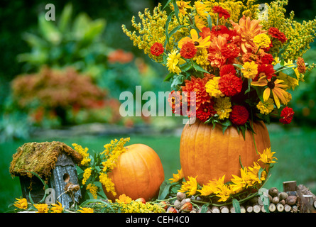 Herbsternte Dekoration mit einem Kürbis Vase mit spätem Sommer Blumen auf der Anzeige mit einem rustikalen Vogelhaus, Missouri, USA Stockfoto