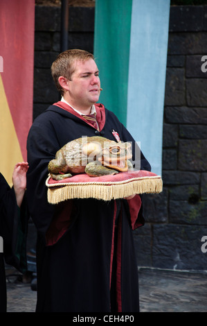 Hogwarts Chor Zauberwelt von Harry Potter universal Studios Orlando Stockfoto