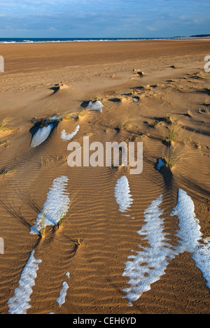 Schnee bedeckt die Dünen und Strand von Holkham Bay an der Küste von Norfolk im winter Stockfoto