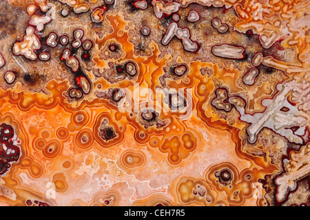 Polierte Scheibe des endständigen / Ocean Jaspis Stockfoto