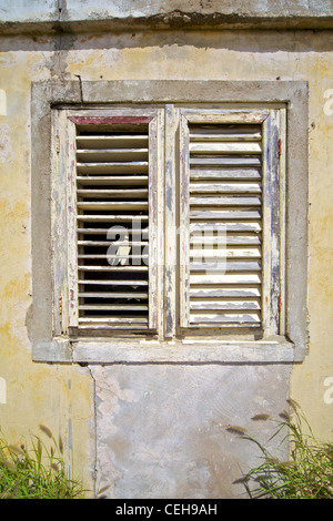 Verwittert braunen Holz Fensterläden der Karibik Stockfoto