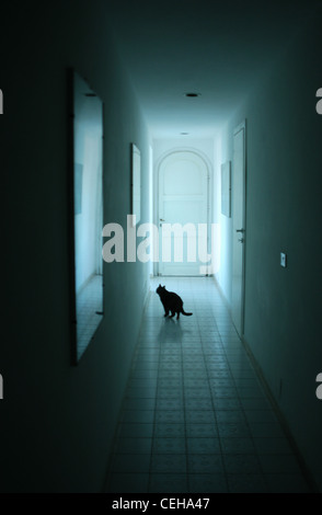einsame schwarze Katze in einem langen, dunklen Flur mit Licht am Ende Stockfoto