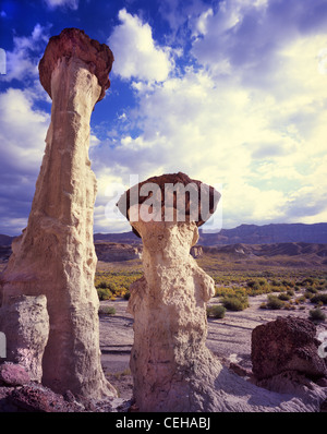 Riesige weiße Hoodoos entlang Wahweep Wash im Grand Staircase Escalante National Monument, in der Nähe von Big Water, Utah, USA Stockfoto