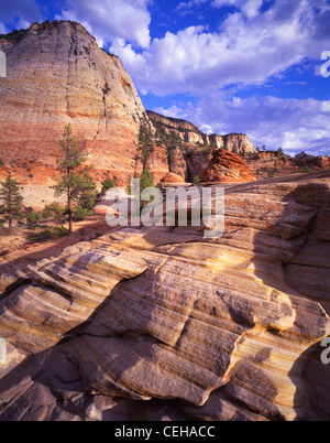 Blick auf die Felswände bei Sonnenuntergang entlang der Parkstraße im Osten Canyon in der Nähe von East Eingang des Zion National Park in Utah, USA Stockfoto