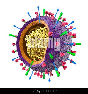 Farbige Partikel des Grippe-Virus H5N1 H1N1 Influenza A Virus - Virion Struktur. 3D Illustration isoliert auf weißem Hintergrund Stockfoto