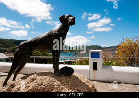Statue der "Able Seaman Just Nuisance" in Simons Town, South Africa Stockfoto