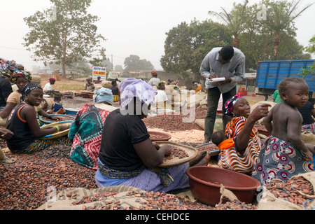 Kakao in der Straße Duékoué Republik Côte d ' Ivoire Côte d ' Ivoire Stockfoto