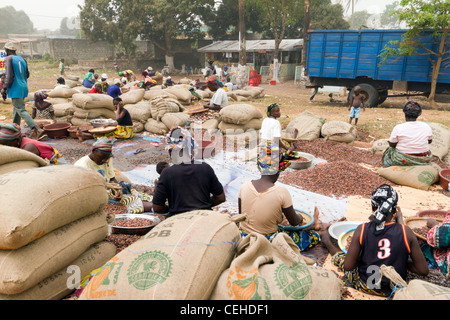 Kakao in der Straße Duékoué Republik Côte d ' Ivoire Côte d ' Ivoire Stockfoto