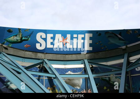 Das national Sea Life Centre, Birmingham, uk Stockfoto