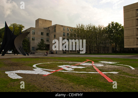 MIT Hackers haben am 10. Januar 08, genau 50 Jahre nach Beginn des Betriebs der NASA, das NASA-Logo auf den Dot of Grass vor dem Green Building gesetzt. Stockfoto