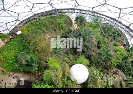 Vogelperspektive von der High-Level-Aussichtsplattform im tropischen Biom im Eden Project in Cornwall, Großbritannien Stockfoto