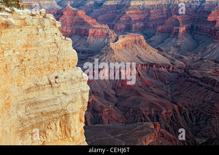 Vor Dämmerung Licht verstärkt die Farben des Arizonas Grand Canyon National Park vom Südrand am Mather Point. Stockfoto