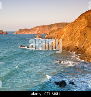 Blick auf die irische See und Gateholm Insel entlang der östlichen Ansatz von Pembrokeshire Coast Path, oben auf den Klippen entlang gesehen Stockfoto