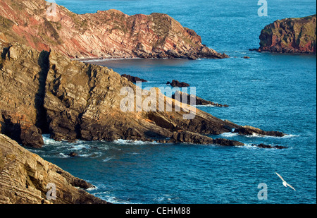 Blick auf die irische See, Küstenfelsen in der Nähe von Gateholm Insel entlang einer zerklüfteten Pembrokeshire Küste westlich von Marloes Pembrokeshire Coast Stockfoto