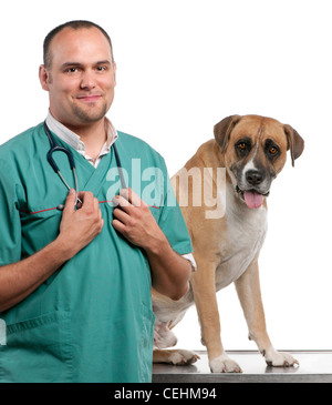 Tierarzt-neben einem Mischling Hund vor weißem Hintergrund Stockfoto