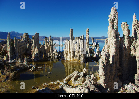 Tuffstein Türme, Mono Lake, Kalifornien Stockfoto