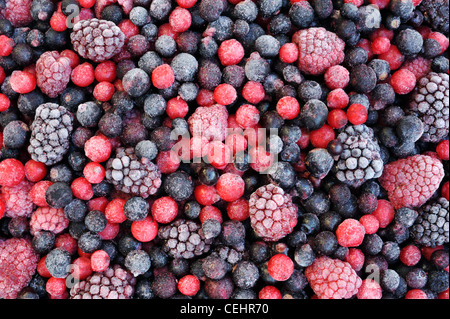 Nahaufnahme von gefrorenen gemischten Früchten - Beere - rote Johannisbeere, Cranberry, Himbeere, Brombeere, Heidelbeere, Heidelbeere, schwarze Johannisbeere Stockfoto