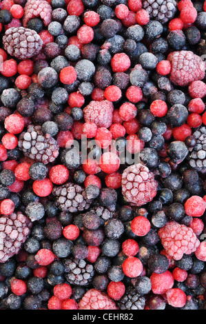 Nahaufnahme von gefrorenen gemischten Früchten - Beere - rote Johannisbeere, Cranberry, Himbeere, Brombeere, Heidelbeere, Heidelbeere, schwarze Johannisbeere Stockfoto