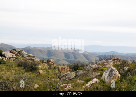 Blick vom Prinz Albert Pass, Provinz Westkap Stockfoto