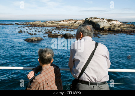 Touristen, Blick auf das Meer während Boot Reise auf Seal Island, Cape Town, Western Cape Province Stockfoto