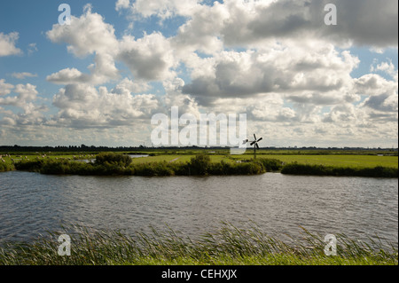 Typische holländische Landschaft Gebiet Waterland nördlich von Amsterdam Stockfoto