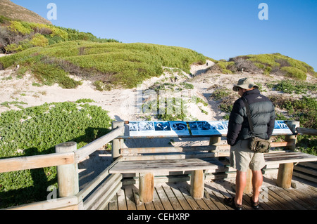 Pinguin-Info-Tafeln, Boulders Beach Boardwalk, Kapstadt, Westkap Stockfoto