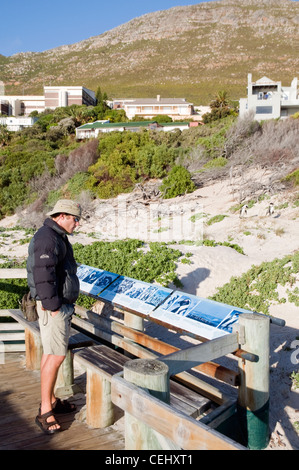 Pinguin-Info-Tafeln, Boulders Beach Boardwalk, Kapstadt, Westkap Stockfoto