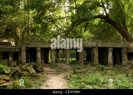 Geheimnisvolle Ruinen im Dschungel, Kambodscha, Provinz Siem Reap Stockfoto