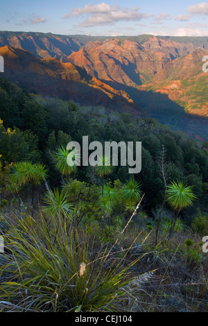 Am Nachmittag Sonne und Wolken am Waimea Canyon, Kauai, Hawaii, USA. Winter Stockfoto