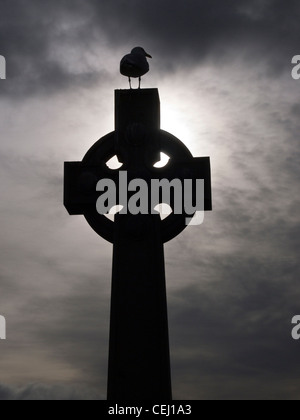 Möwe auf Celtic Cross, Schottland Stockfoto