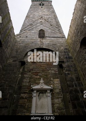 St-Regeln-Turm, St. Andrews Cathedral, Fife, Schottland Stockfoto