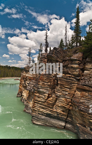 ATHABASCA FALLS, FLUSSABWÄRTS, ATHABASCA RIVER, JASPER NATIONALPARK, KANADISCHE ROCKIES, ALBERTA, KANADA Stockfoto