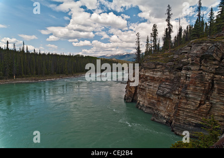 ATHABASCA FÄLLT, FLUSSABWÄRTS, ATHABSCA FLUSS, JASPER NATIONALPARK, KANADISCHE ROCKIES, ALBERTA, KANADA Stockfoto