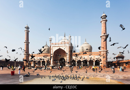 Jama Masjid Moschee, Alt-Delhi, Indien mit Schwarm Tauben gefüttert von Gläubigen in der Moschee, in der Sonne unter einem strahlend blauen Himmel Stockfoto