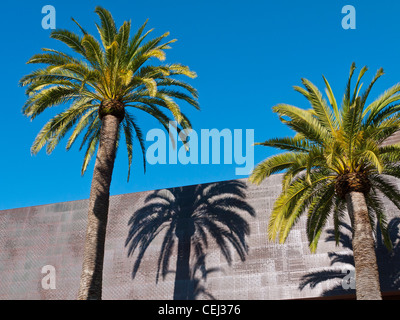 Zwei Palmen Schatten auf dem Kupfer Abstellgleis des De Young Museum of Art in San Francisco, Kalifornien. Stockfoto