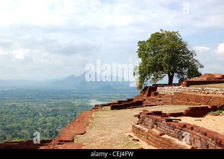 Die Aussicht von Sigiriya (Löwen Felsen) ist einer alten Festung und Palast Ruinen, Sri Lanka Stockfoto