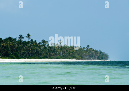 Strand in Bwejuu Ost Küste von Sansibar Tansania Stockfoto