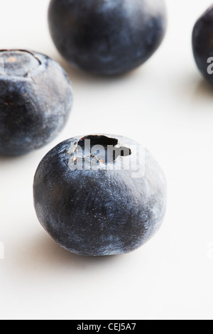 Zwei Heidelbeeren auf weißem Hintergrund Stockfoto