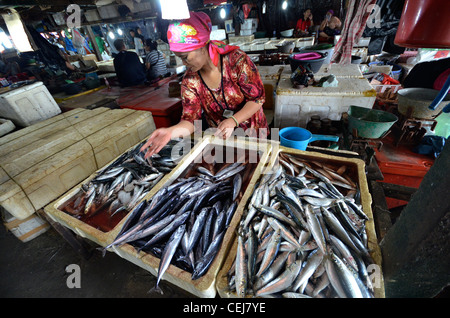 Frischer Fisch zum Verkauf an Jimbaran lokalen Fischmarkt, in der Nähe von Kuta, Bali, Indonesien Stockfoto