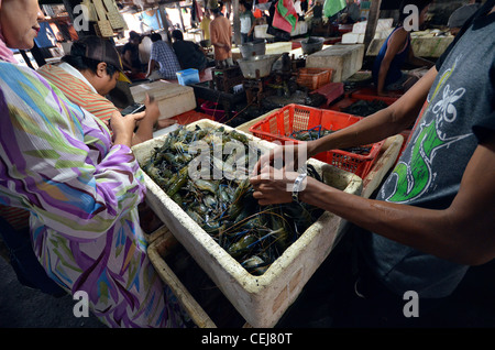 Frischer Fisch zum Verkauf an Jimbaran lokalen Fischmarkt, in der Nähe von Kuta, Bali, Indonesien Stockfoto